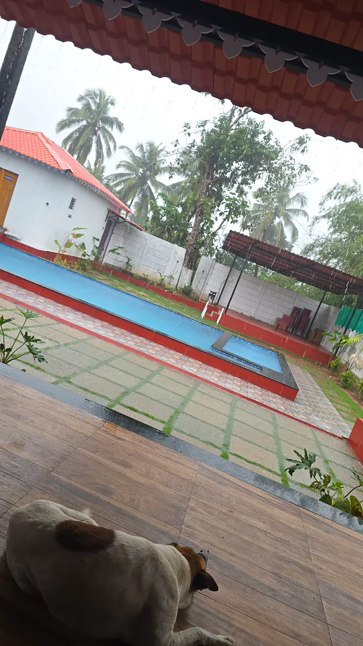 Porch rain